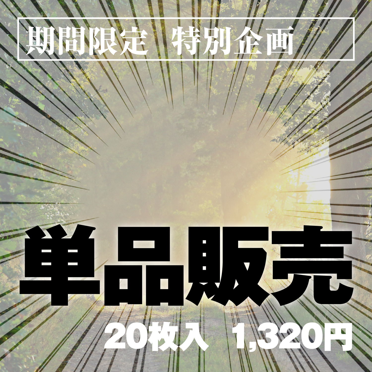 [00]期間限定 特別企画 単品販売