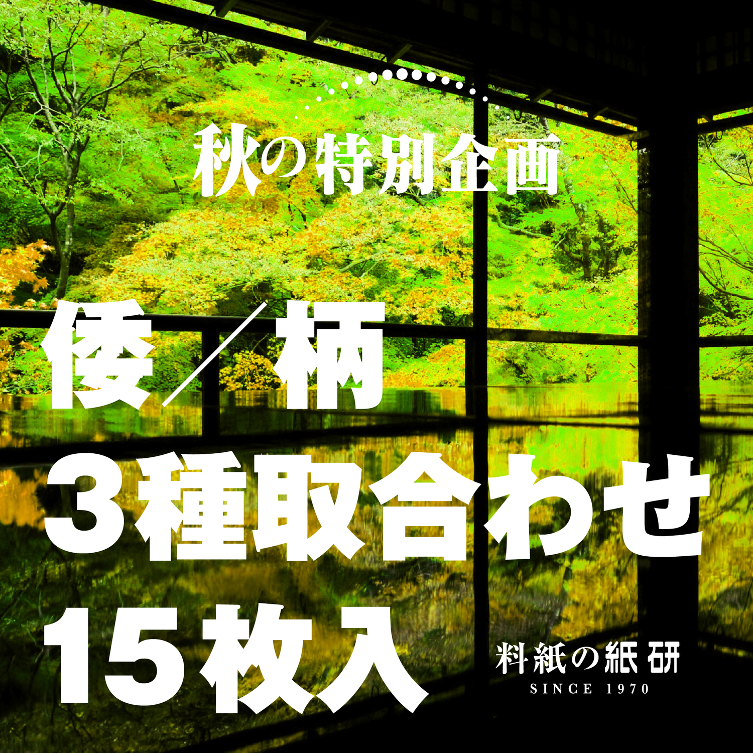 [00]期間限定 特別企画 倭／柄15枚入り