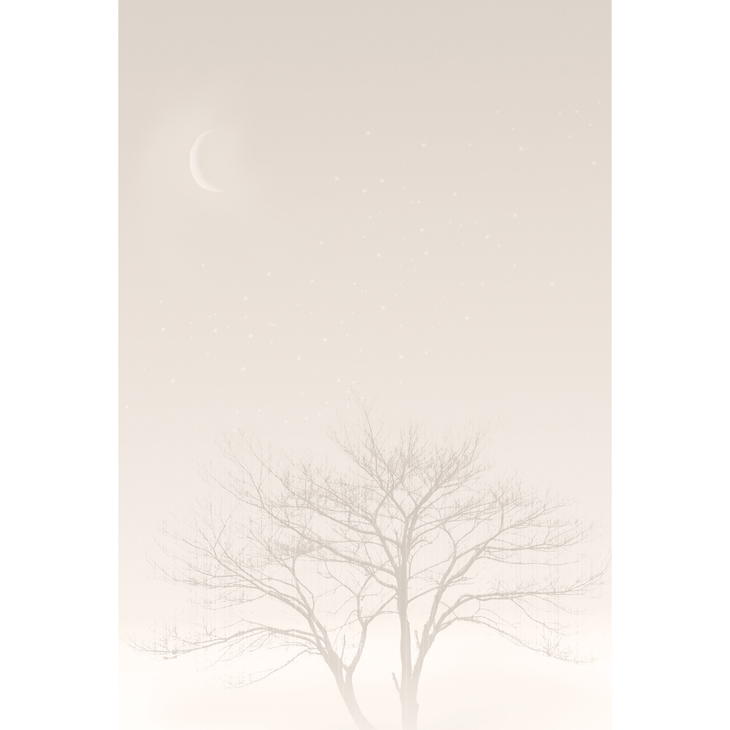 定番四季[月]立木