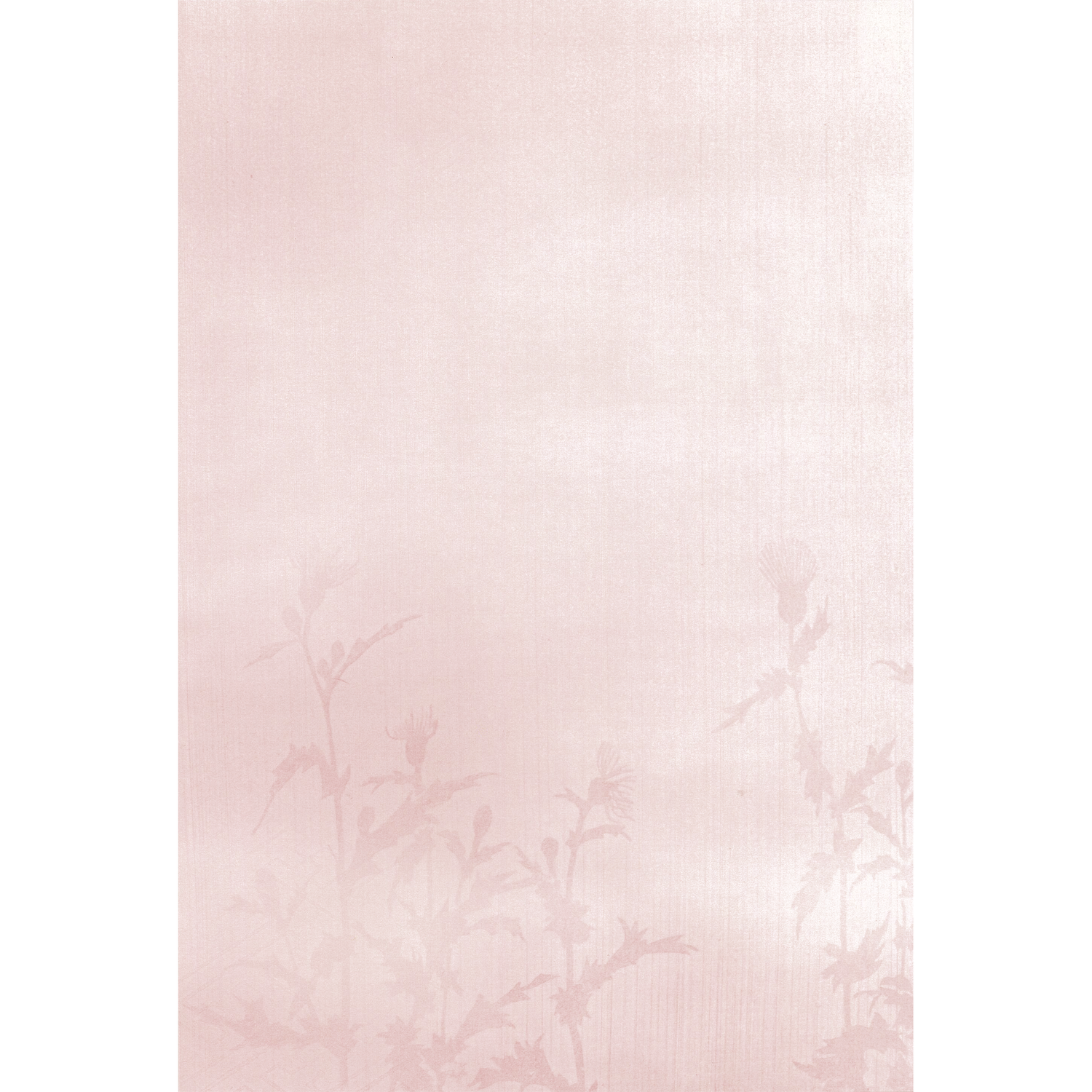 かな書道料紙 : 2015年度限定 四季 春 薊（あざみ）
