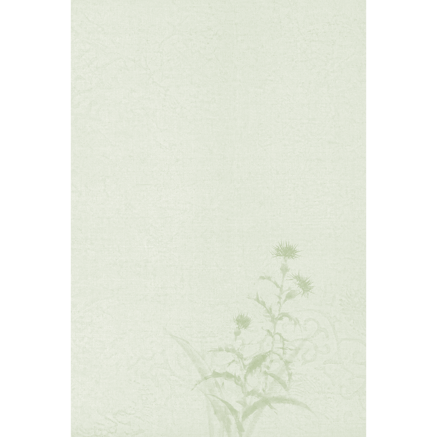 2026年度限定 四季 秋 秋薊