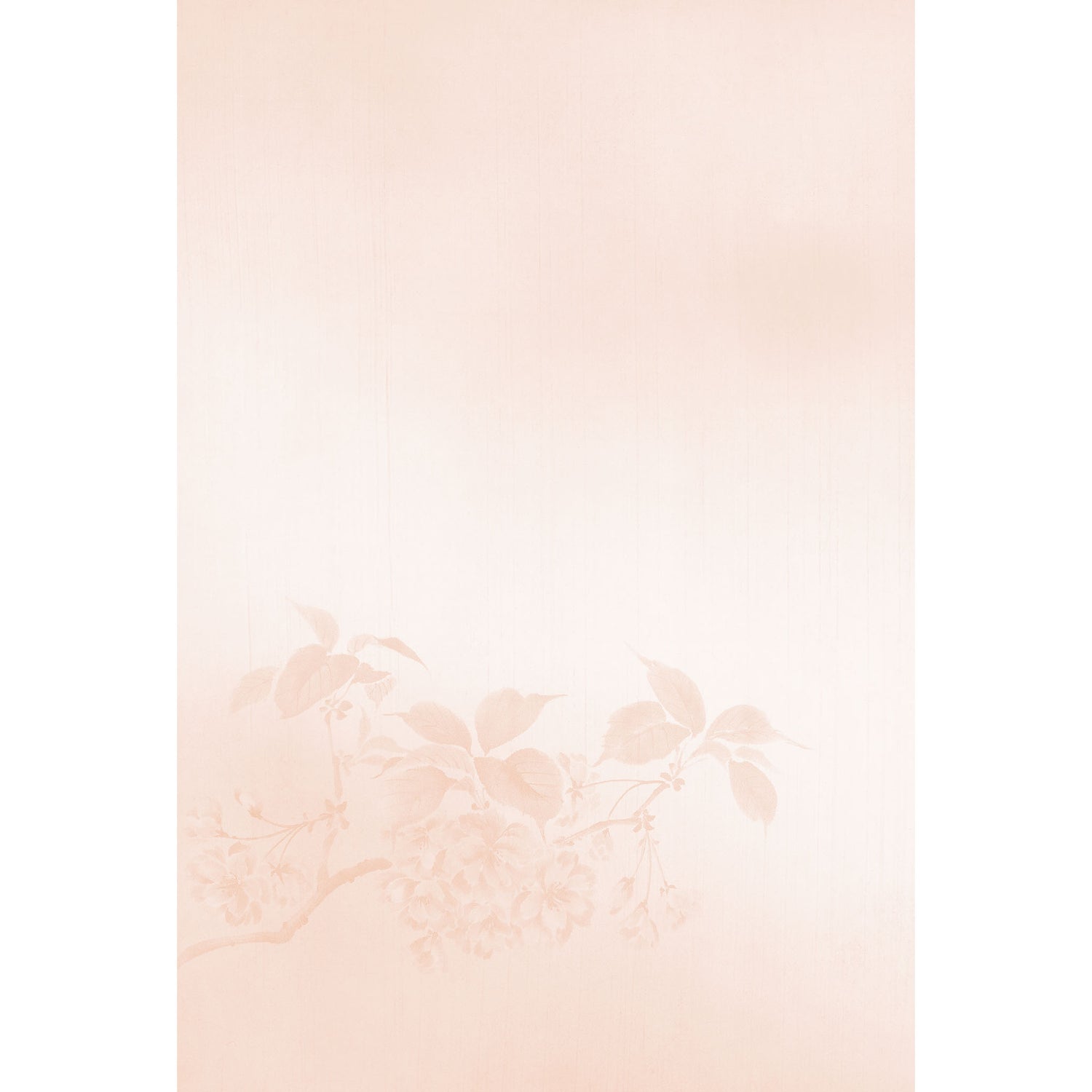 2026年度限定 四季 春 八重桜