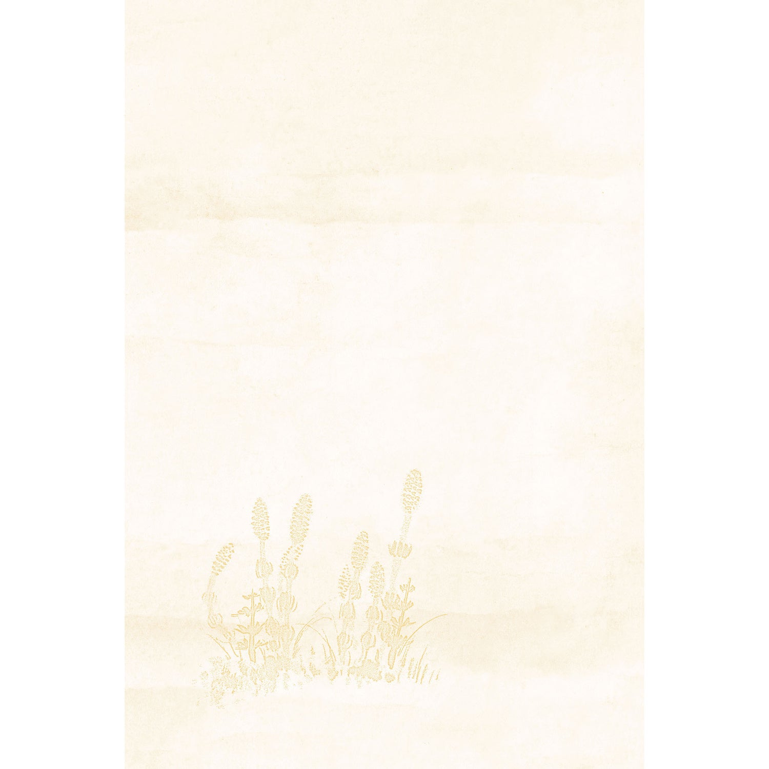 2026年度限定 四季 春 土筆