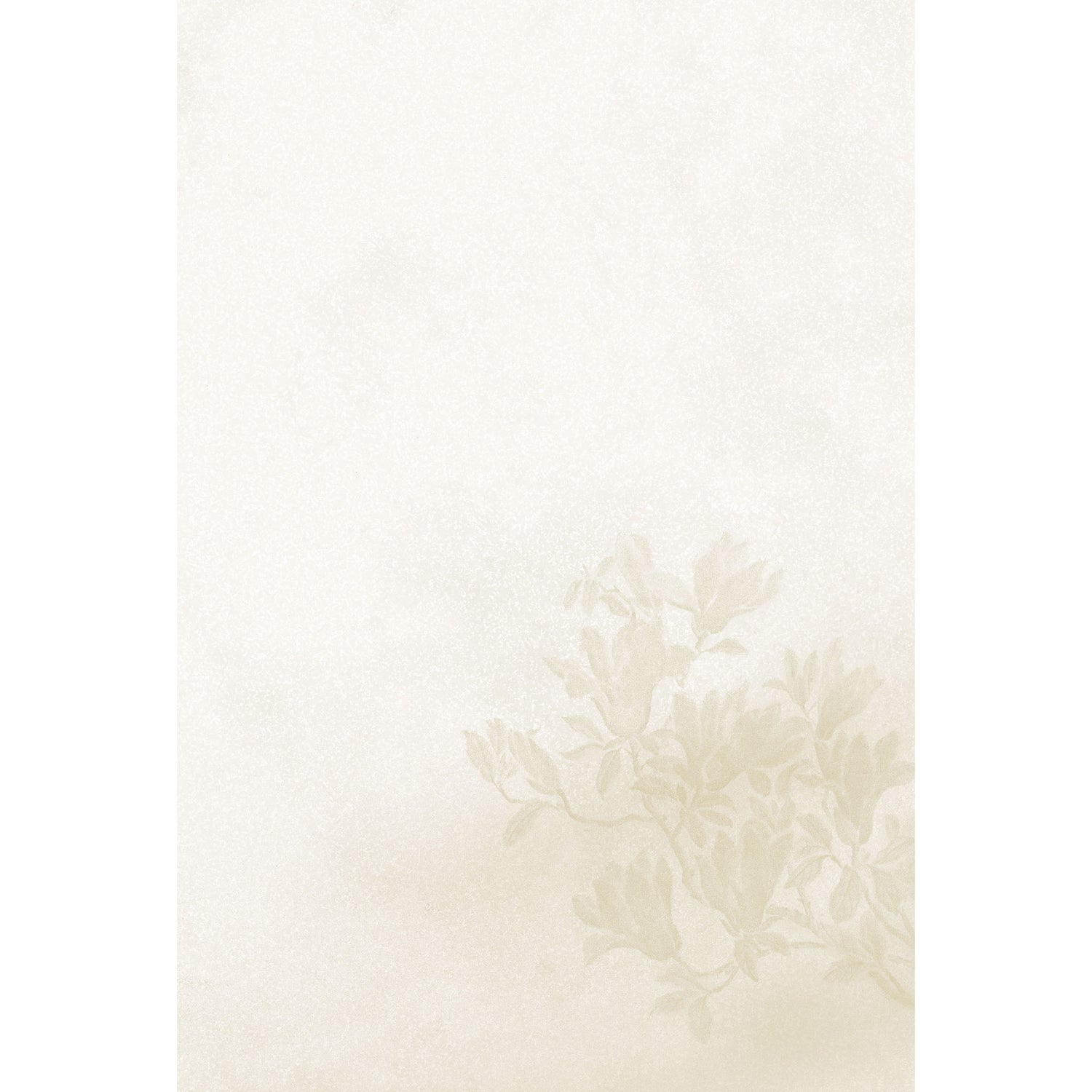 2026年度限定 四季 春 木蓮