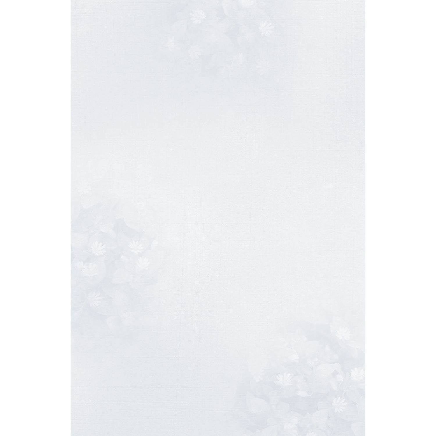 2026年度限定 四季 春 ハコベ