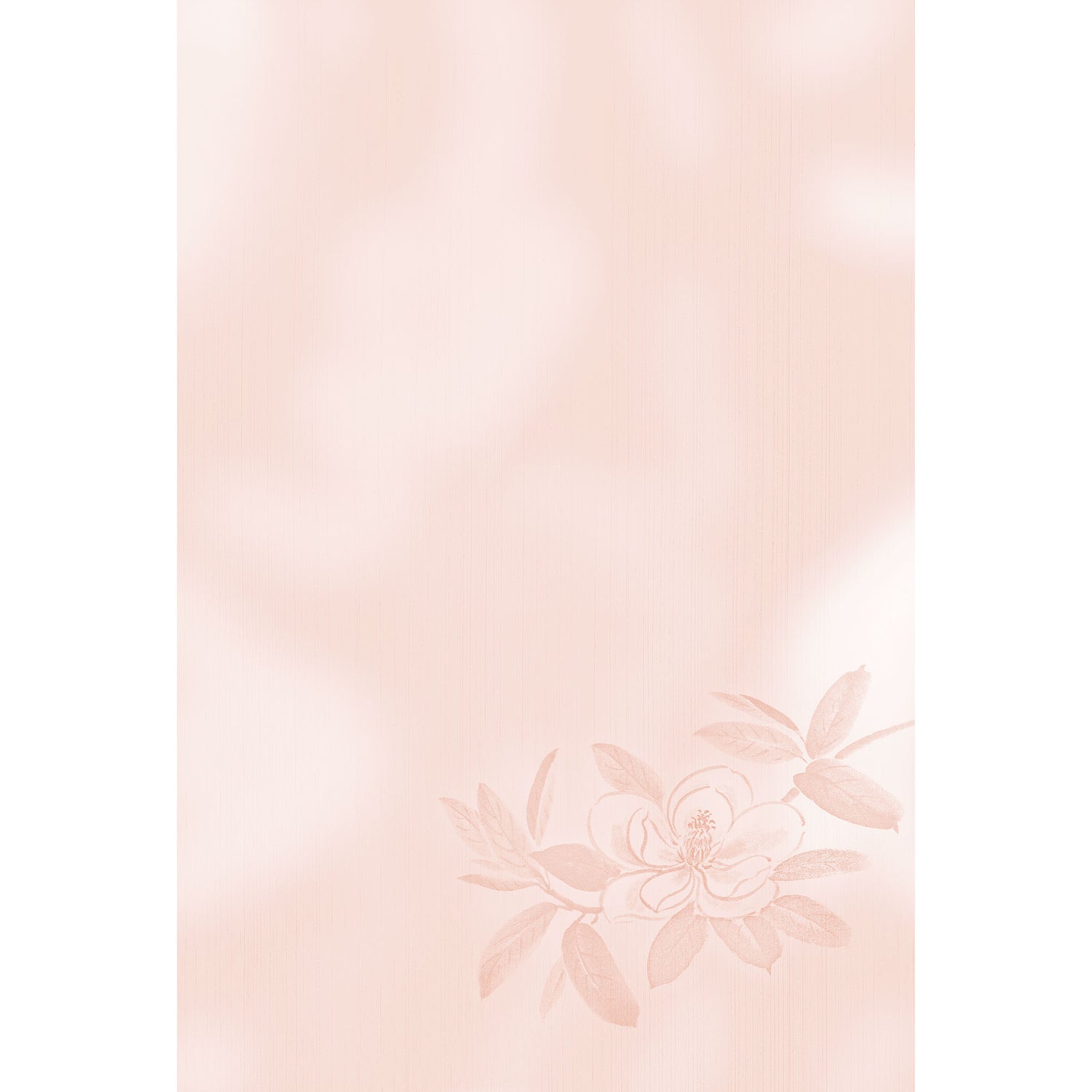 2026年度限定 四季 夏 泰山木