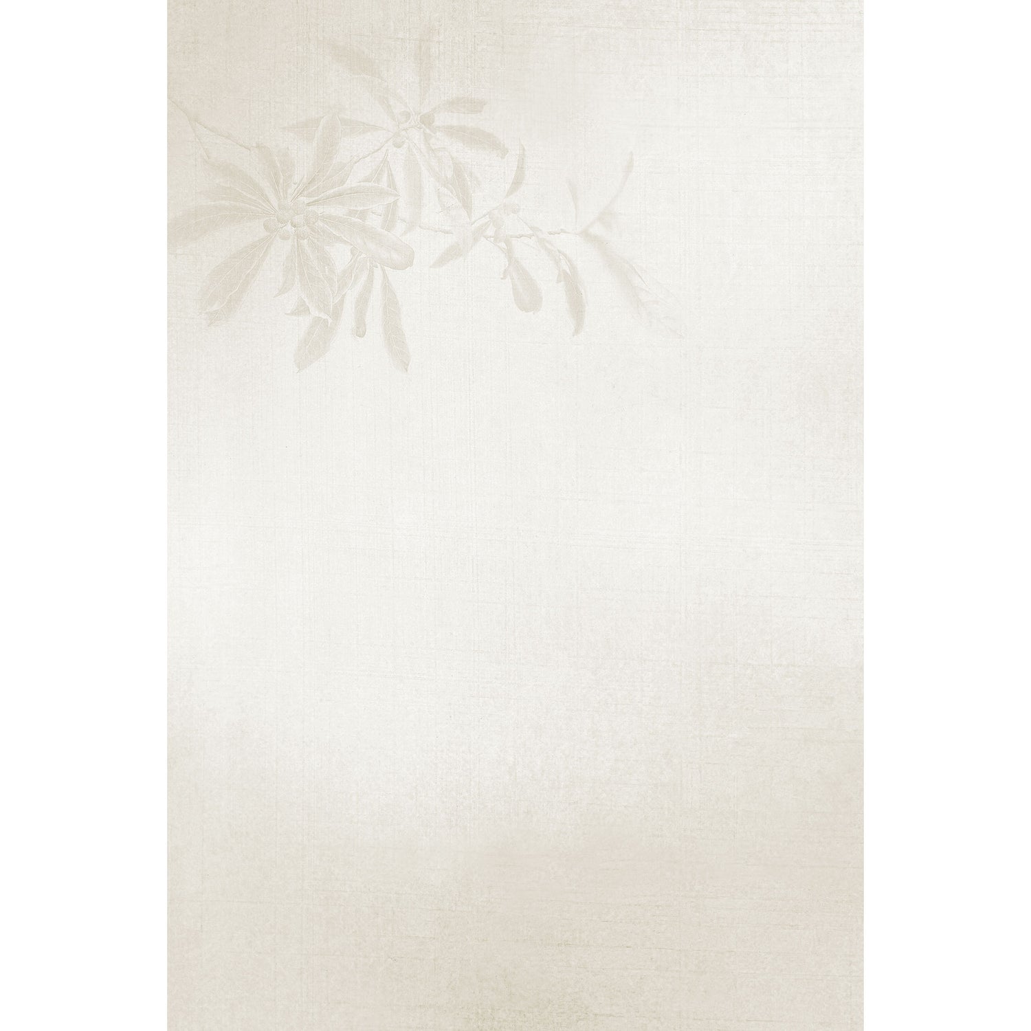 2026年度限定 四季 夏 山桃