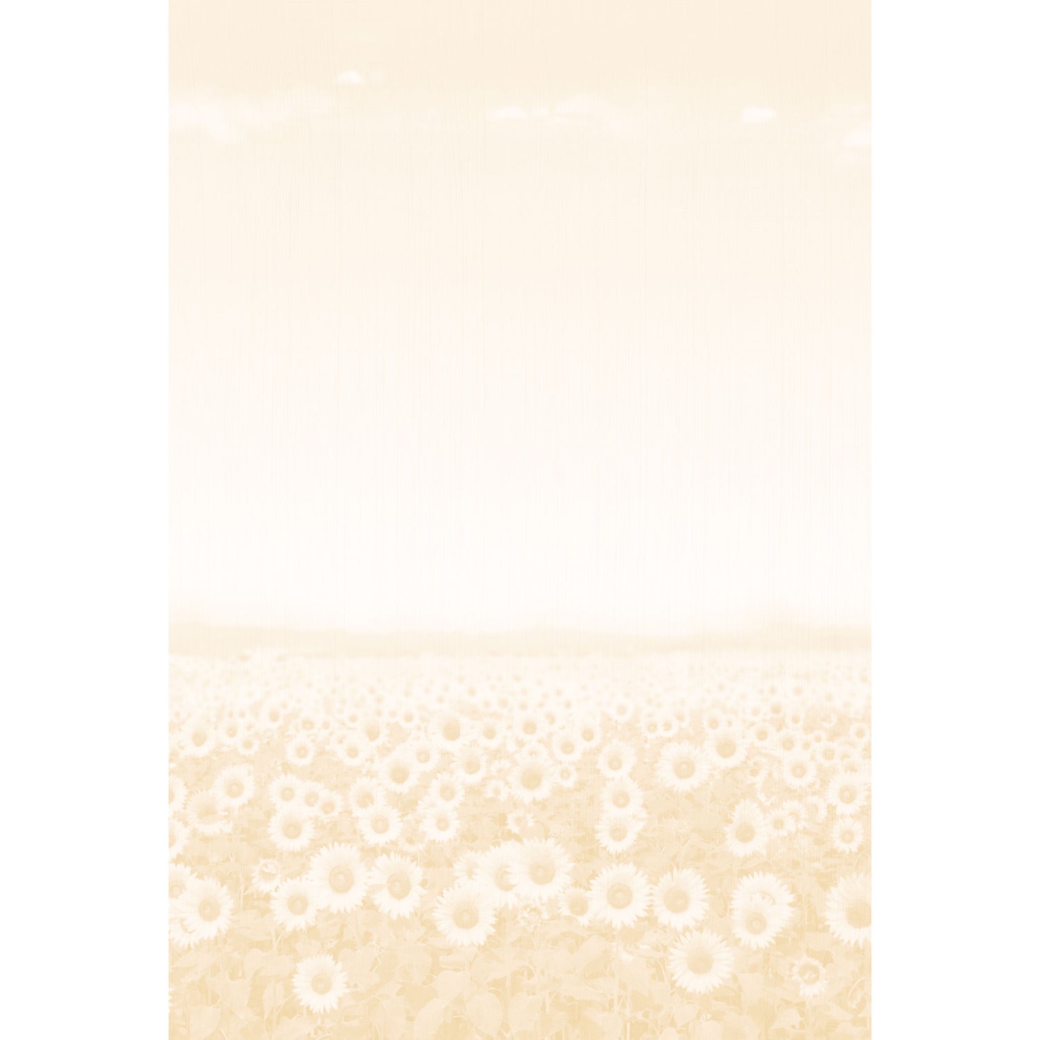 2026年度限定 四季 夏 向日葵