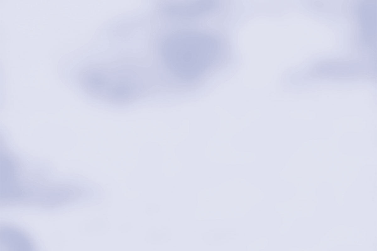 鳳（おおとり）No.815